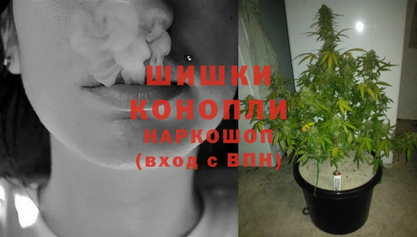 скорость Белокуриха