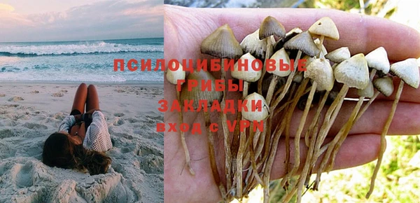ALPHA PVP Беломорск