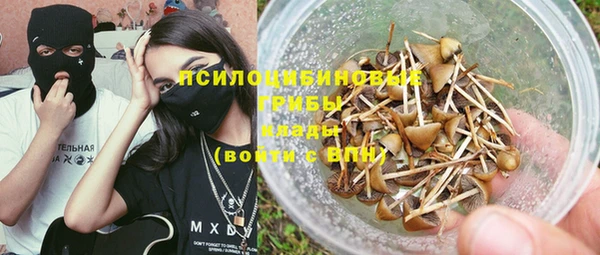 ALPHA PVP Беломорск