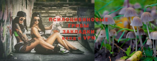 ALPHA PVP Беломорск