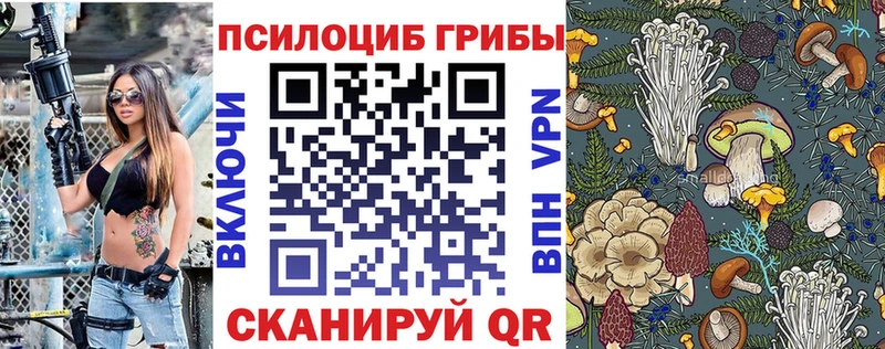 Псилоцибиновые грибы GOLDEN TEACHER  хочу   blacksprut зеркало  Болотное 